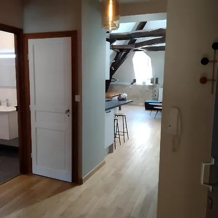 Le Mucie****appartement Hyper Centre Au Calme Dijon